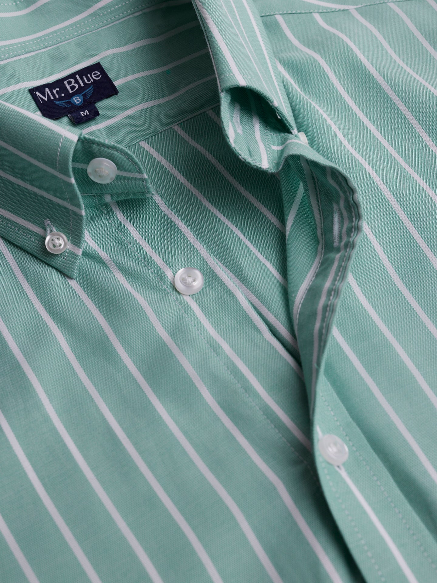 Camisa Oxford Corte Regular Mr. Blue Verde