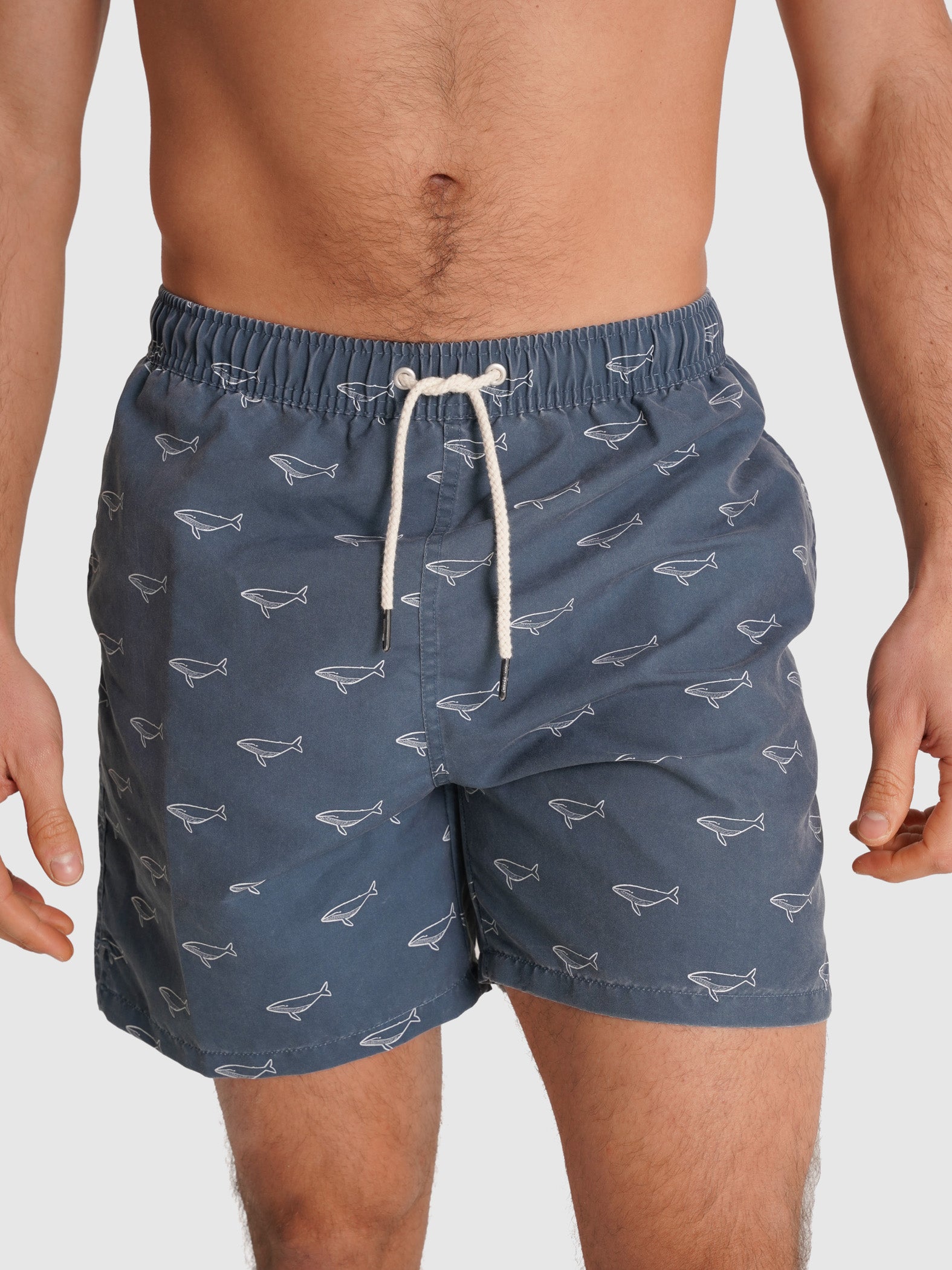 REGULAR FIT MR. BLUE SWIMMING SUIT BLUE