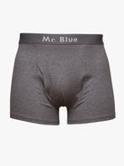 BOXERS CINZENTA CLASSIC FIT MR. BLUE