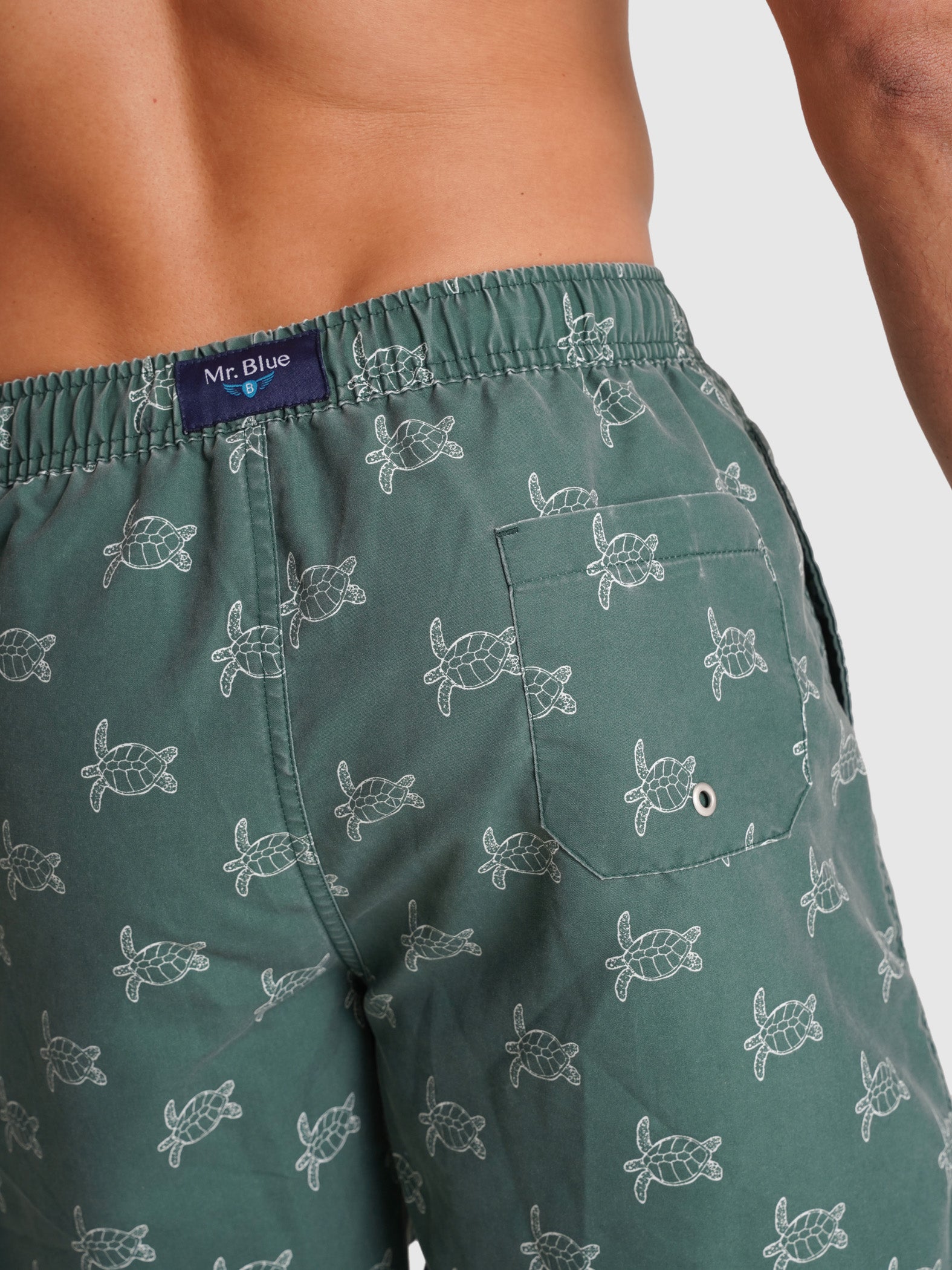 REGULAR FIT MR GREEN SWIMMING SUIT BLUE