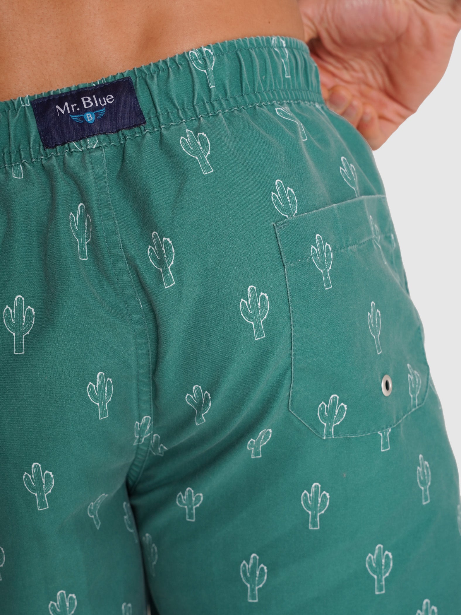 REGULAR FIT MR GREEN SWIMMING SUIT BLUE
