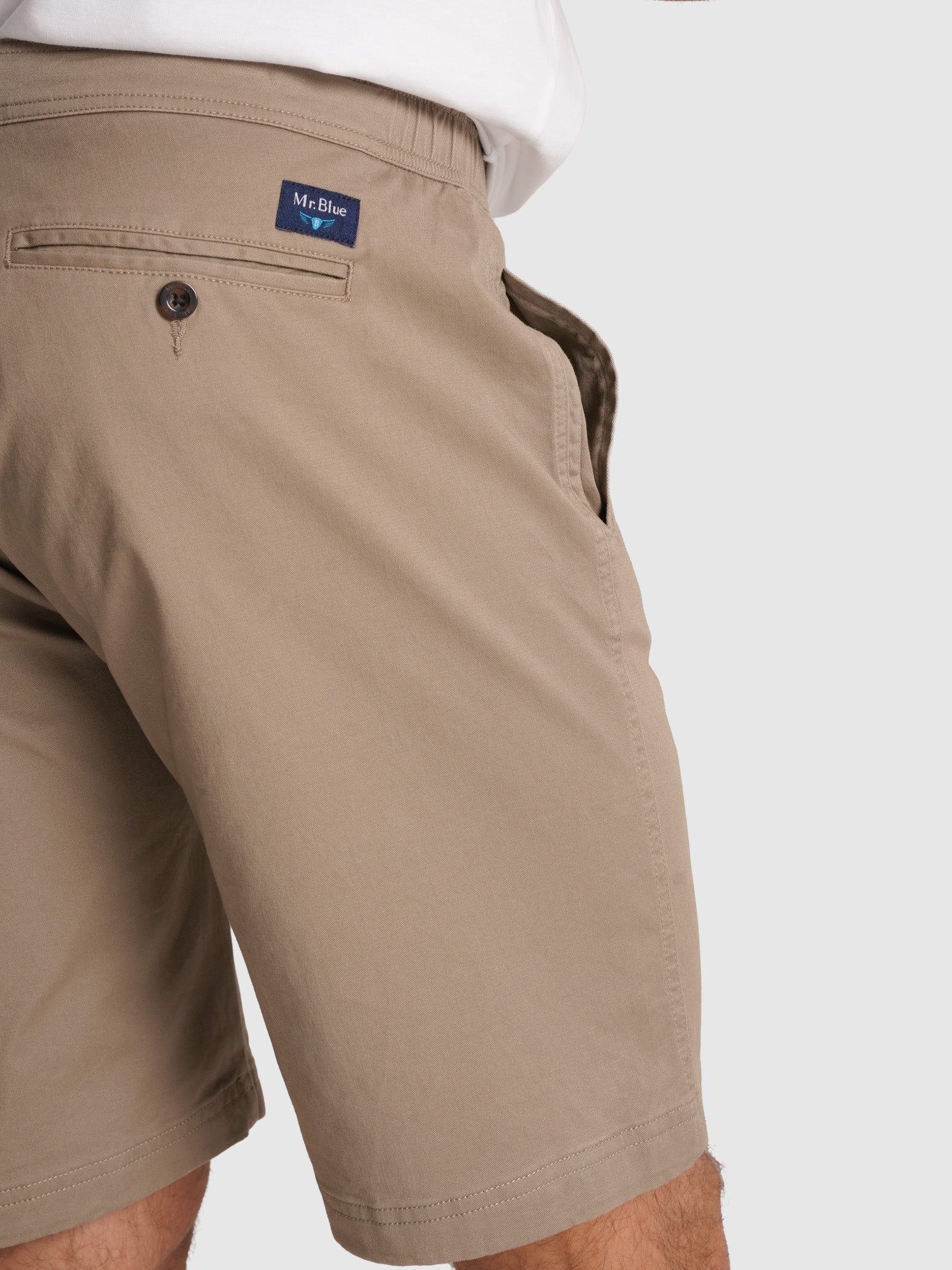 SARGA CAMELLOS REGULAR FIT MR. AZUL