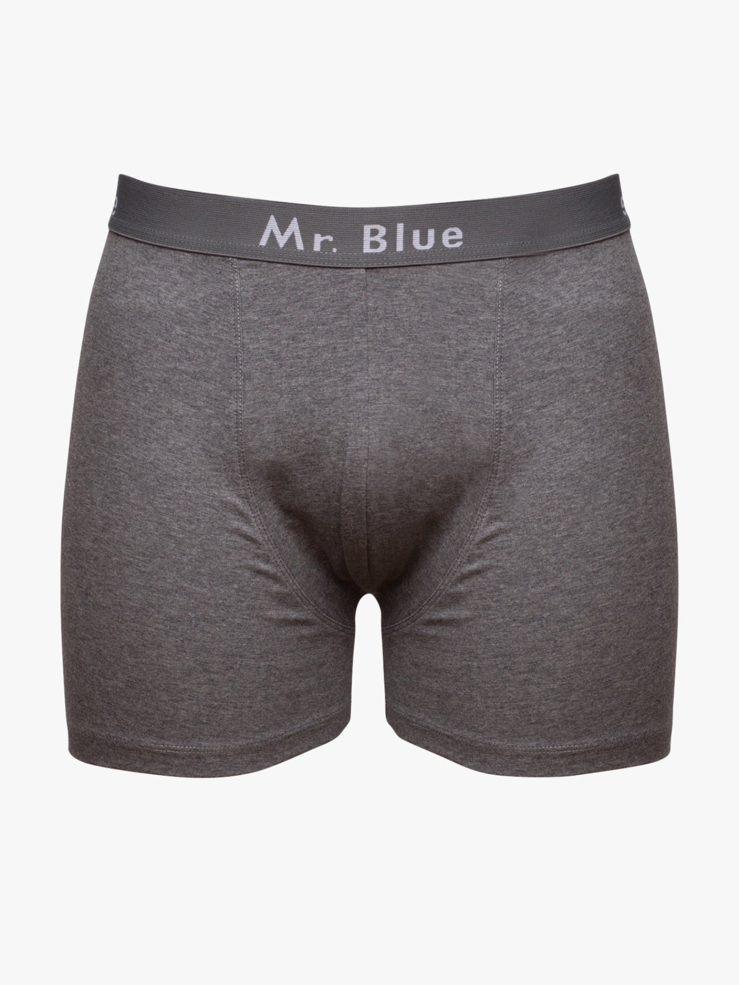 Boxers Justos Mr. Blue