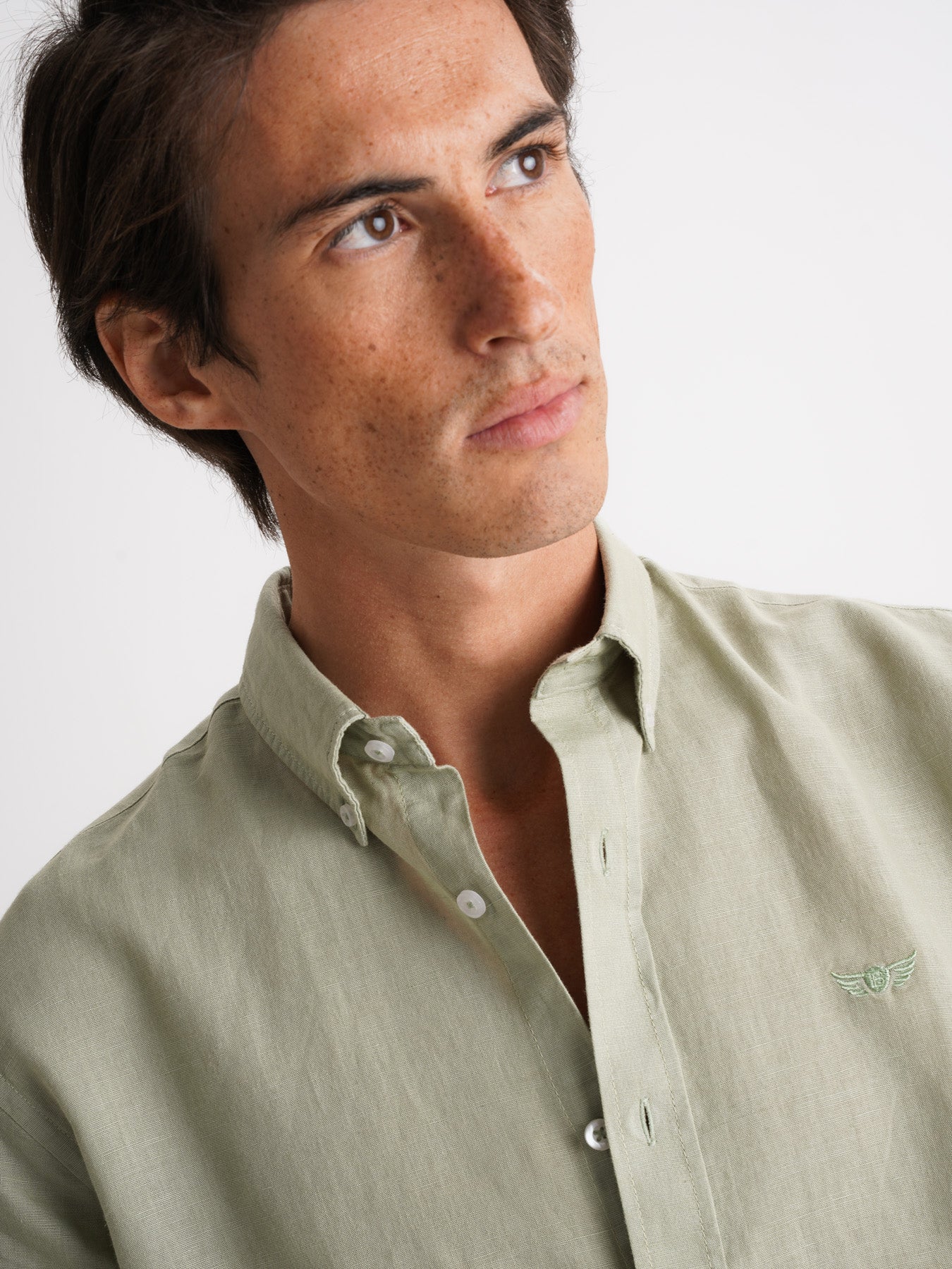 Camisa de corte estándar de lino verde de Mr. Blue