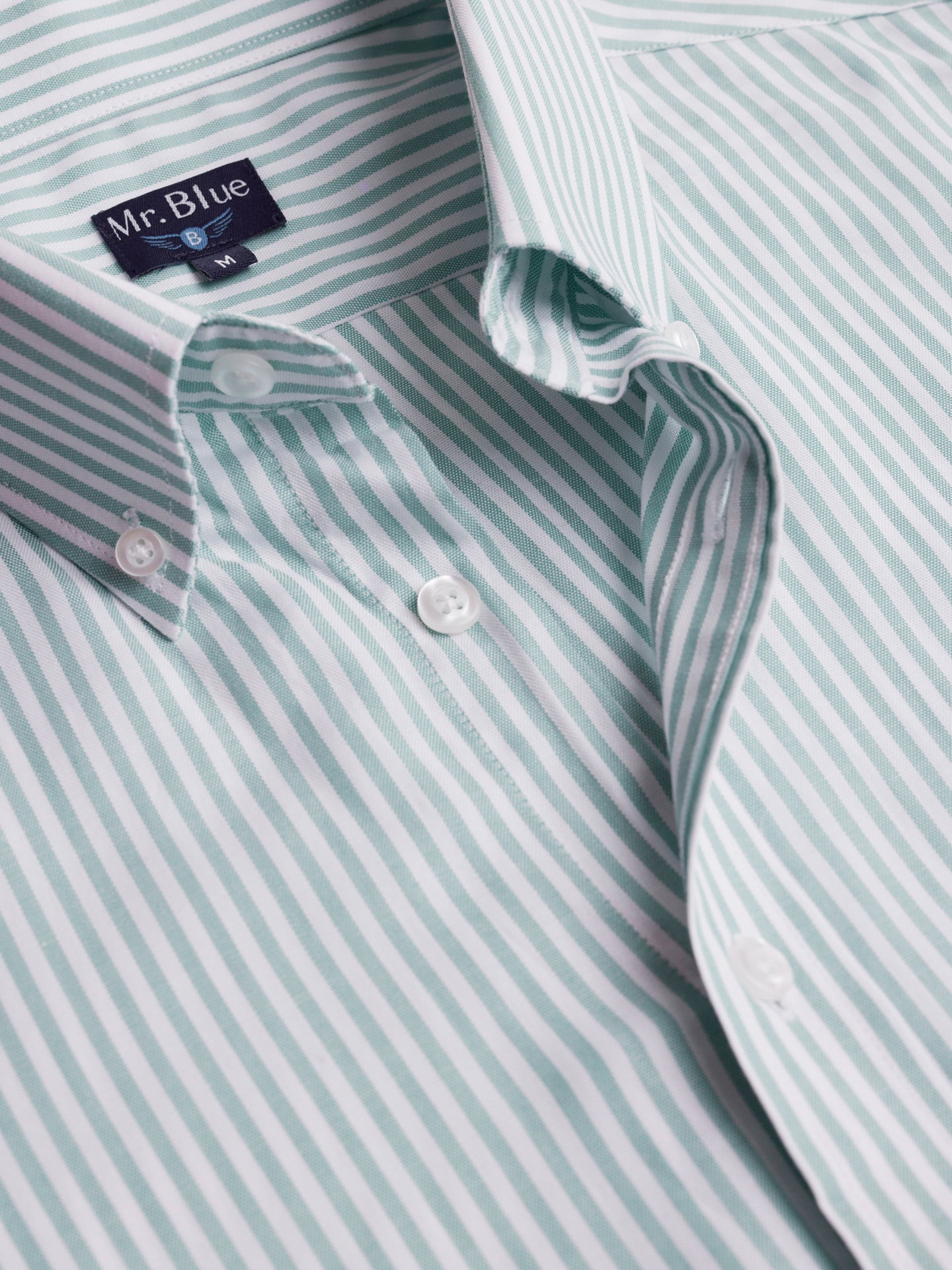 Camisa Oxford Corte Regular Mr. Blue Verde